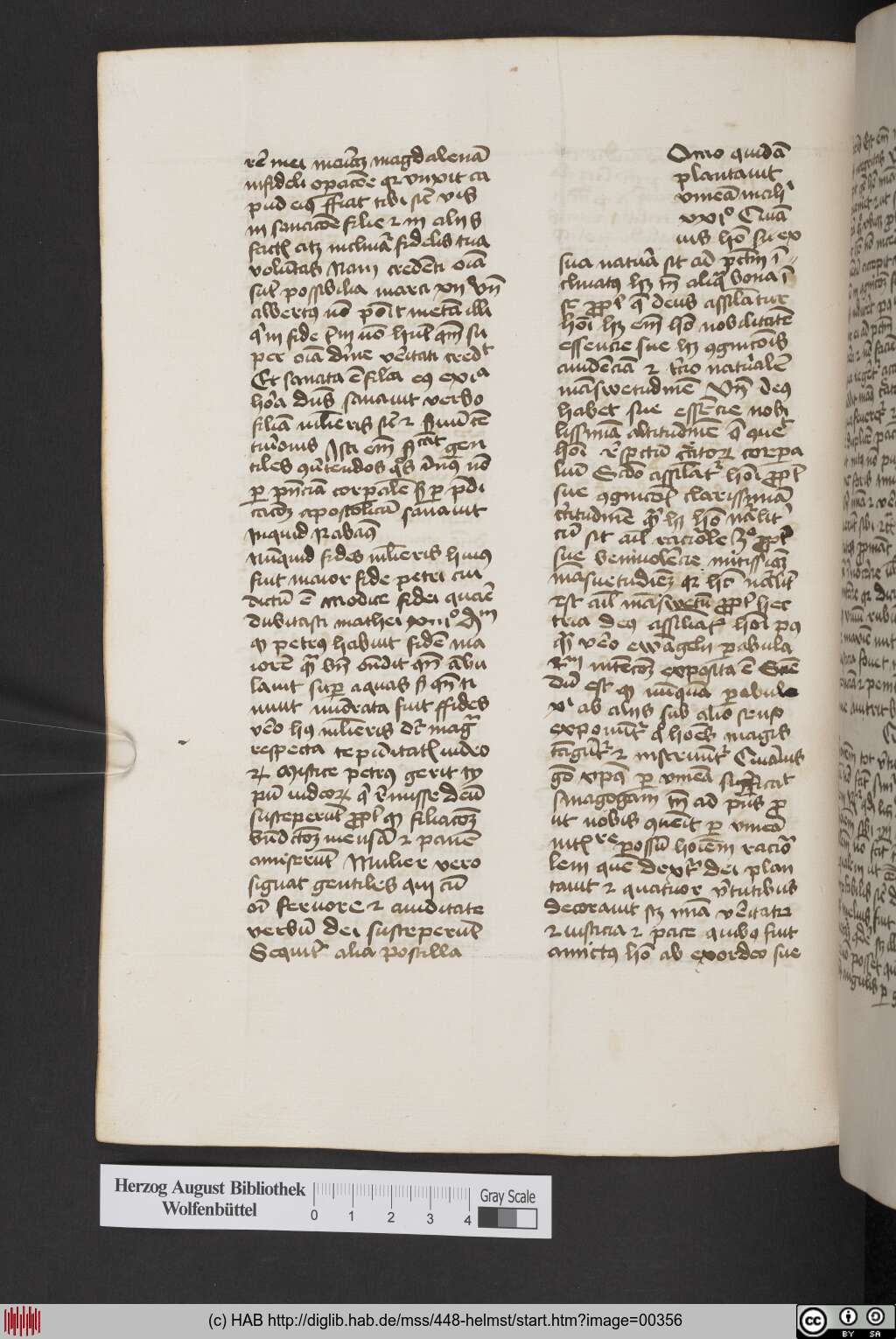 http://diglib.hab.de/mss/448-helmst/00356.jpg