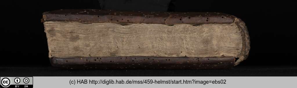 http://diglib.hab.de/mss/459-helmst/ebs02.jpg