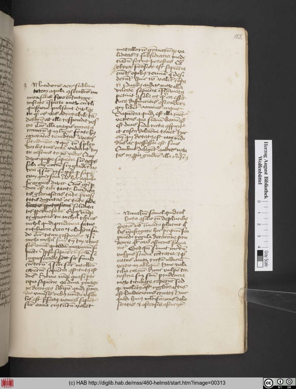 http://diglib.hab.de/mss/460-helmst/00313.jpg