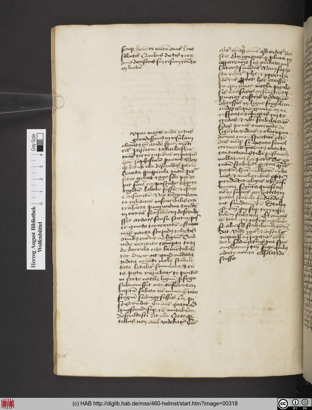 http://diglib.hab.de/mss/460-helmst/00318.jpg