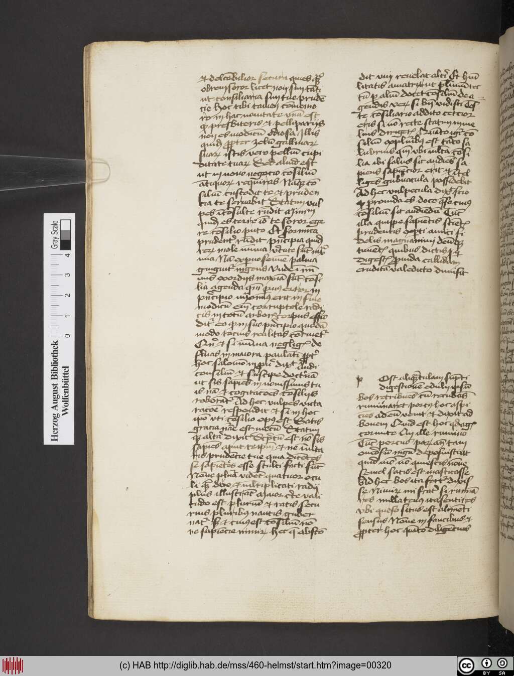 http://diglib.hab.de/mss/460-helmst/00320.jpg