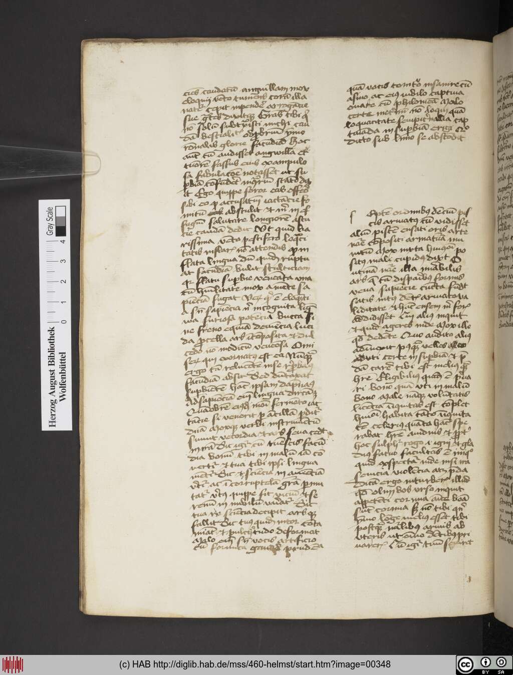 http://diglib.hab.de/mss/460-helmst/00348.jpg