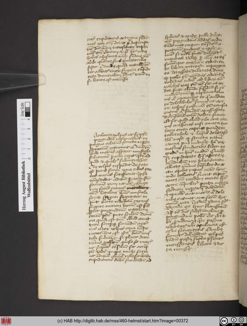 http://diglib.hab.de/mss/460-helmst/00372.jpg