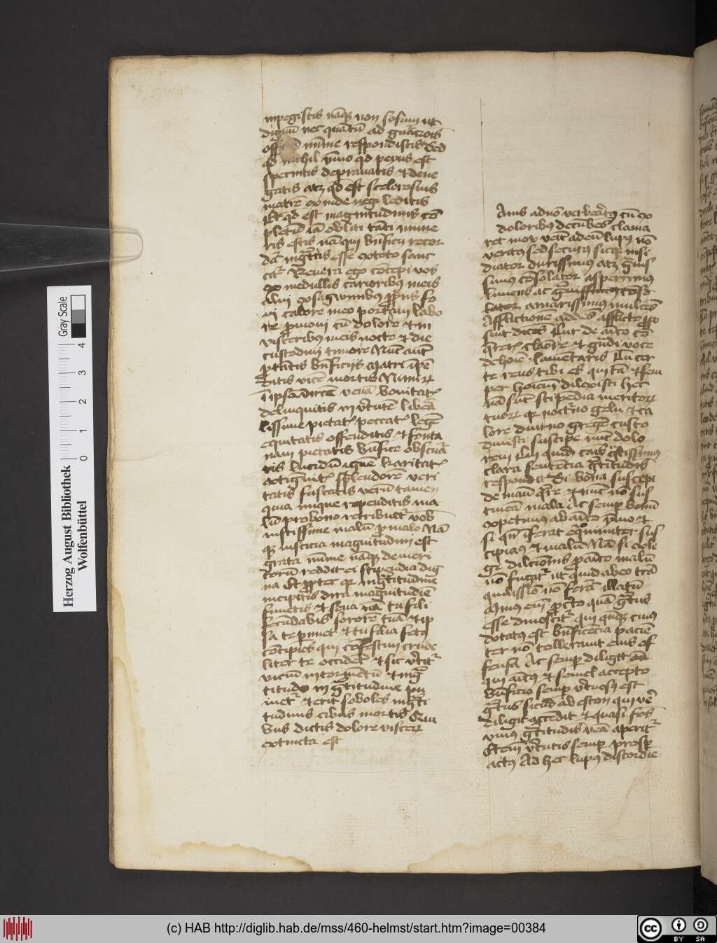 http://diglib.hab.de/mss/460-helmst/00384.jpg