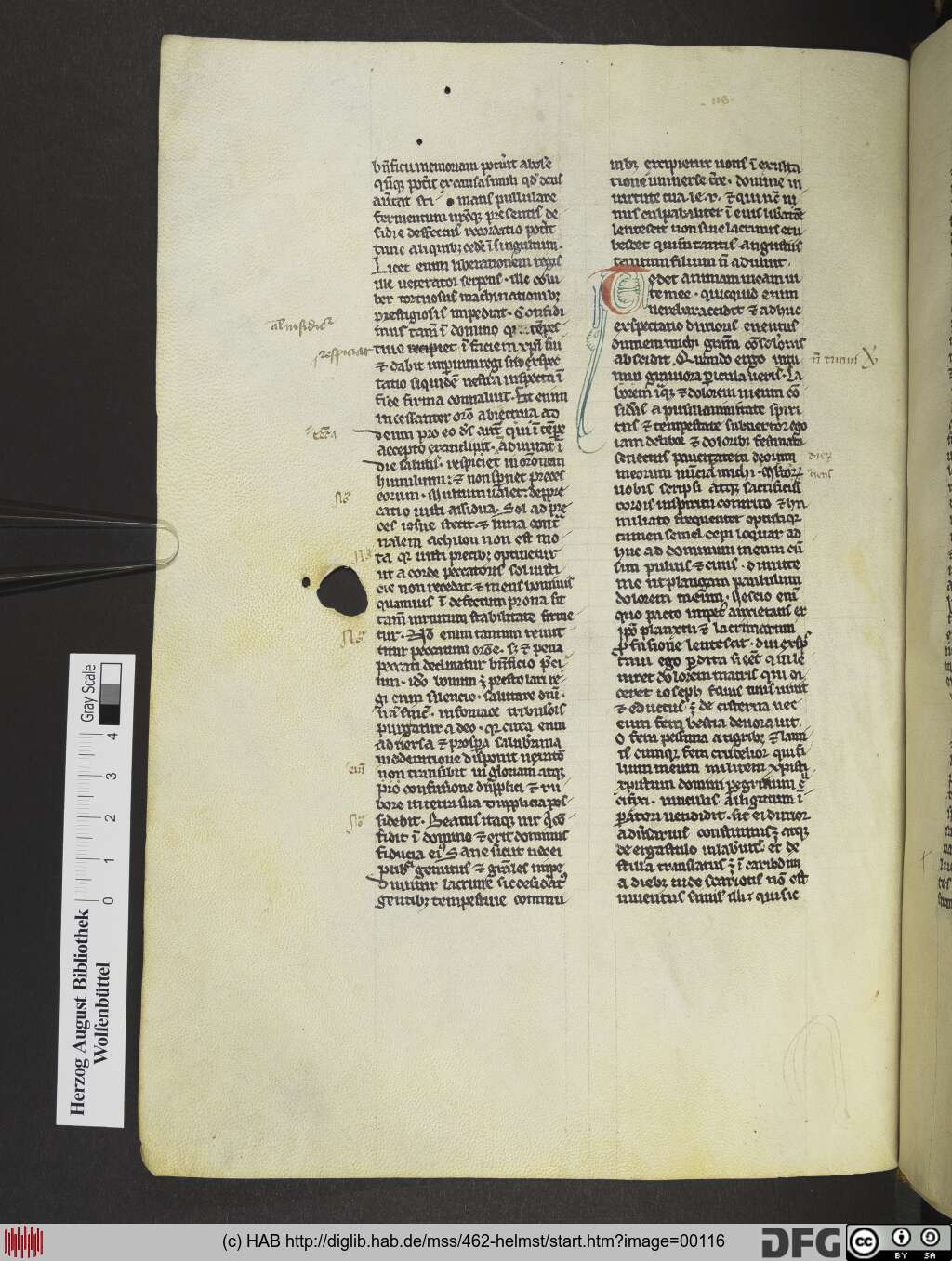 http://diglib.hab.de/mss/462-helmst/00116.jpg