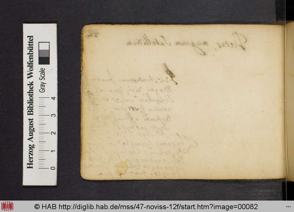 http://diglib.hab.de/mss/47-noviss-12f/00082.jpg
