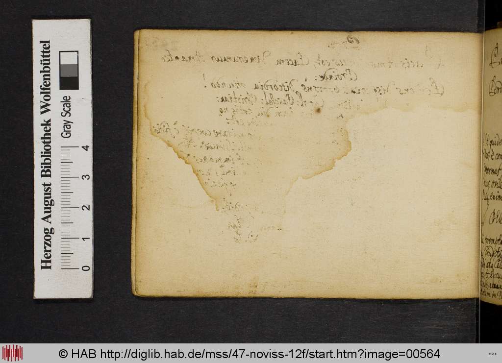 http://diglib.hab.de/mss/47-noviss-12f/00564.jpg