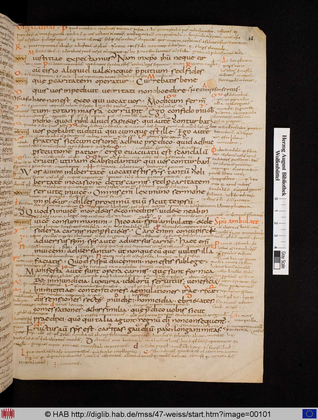 http://diglib.hab.de/mss/47-weiss/00101.jpg