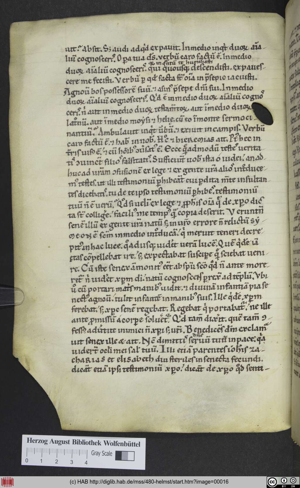 http://diglib.hab.de/mss/480-helmst/00016.jpg