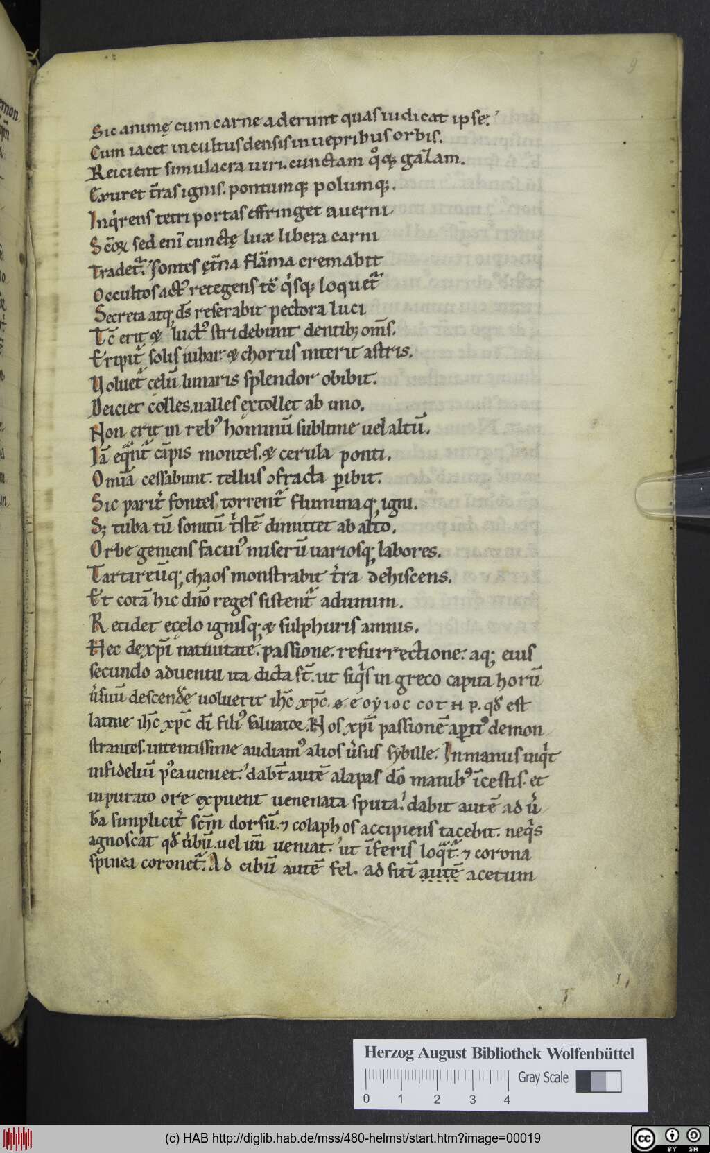 http://diglib.hab.de/mss/480-helmst/00019.jpg