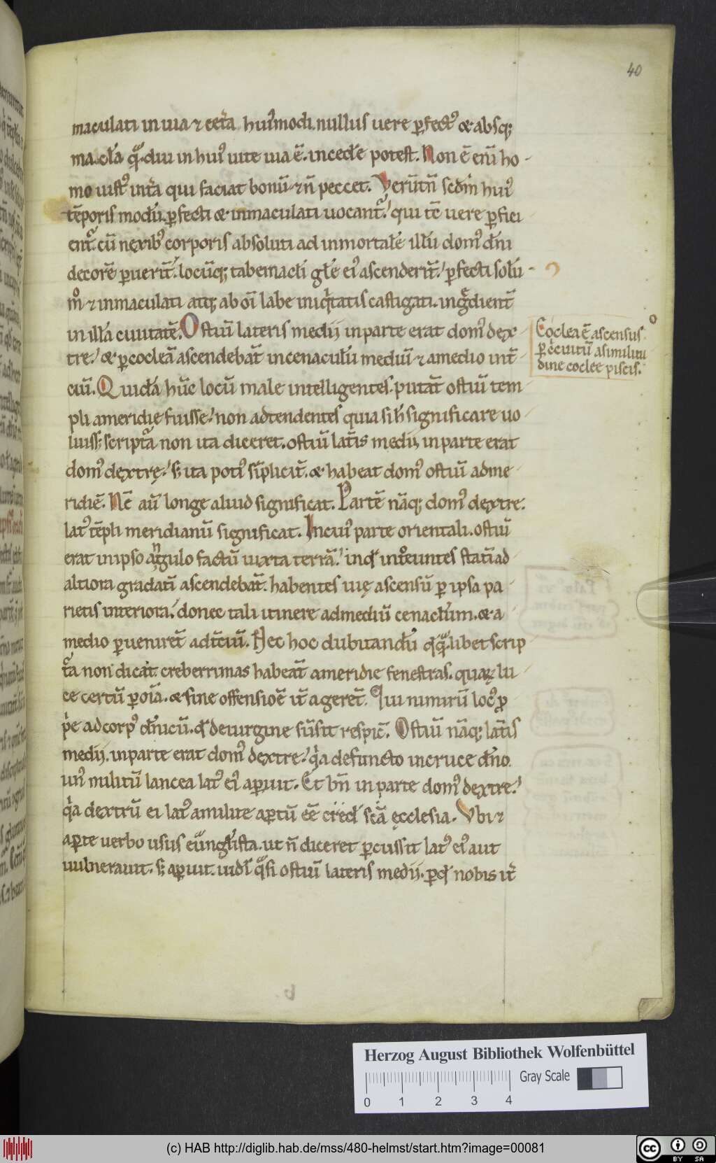 http://diglib.hab.de/mss/480-helmst/00081.jpg