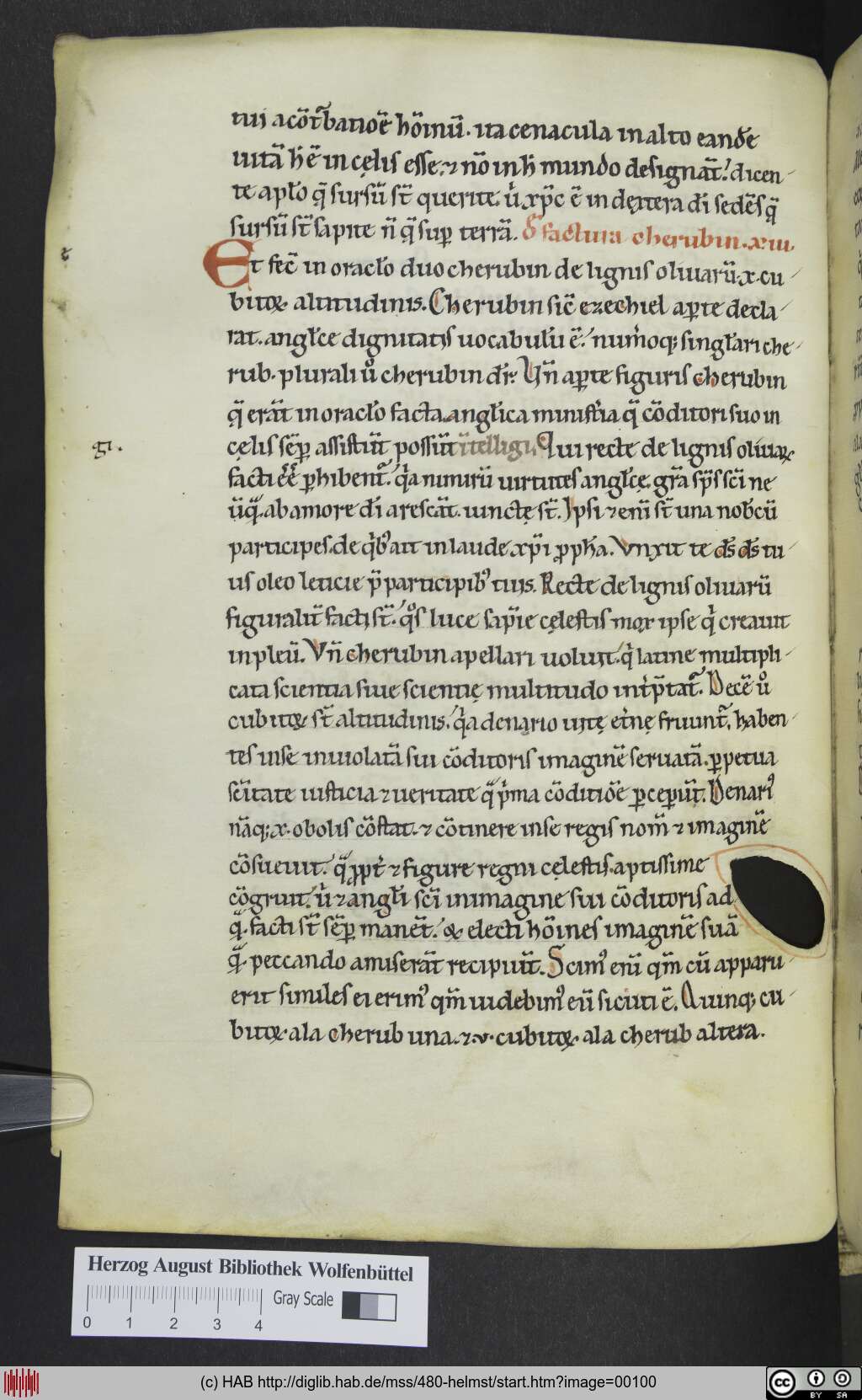 http://diglib.hab.de/mss/480-helmst/00100.jpg