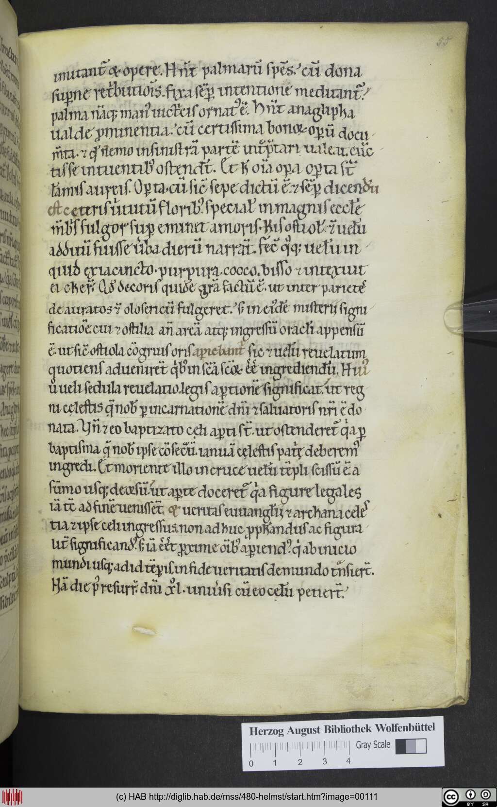 http://diglib.hab.de/mss/480-helmst/00111.jpg