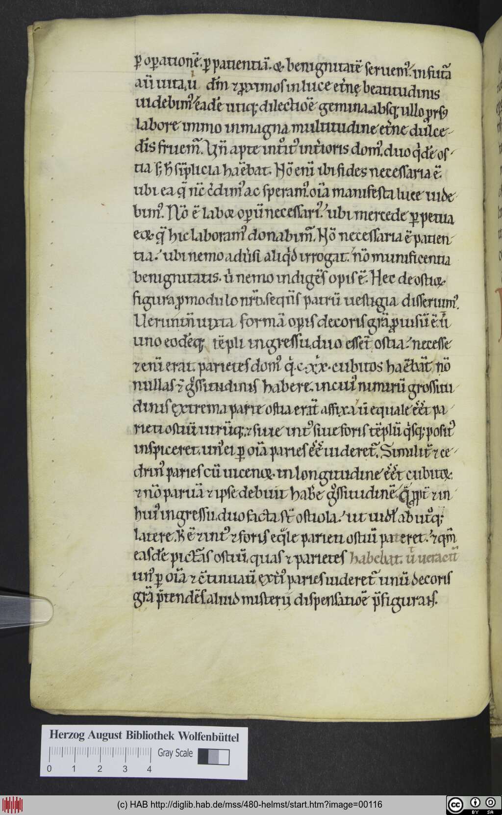 http://diglib.hab.de/mss/480-helmst/00116.jpg