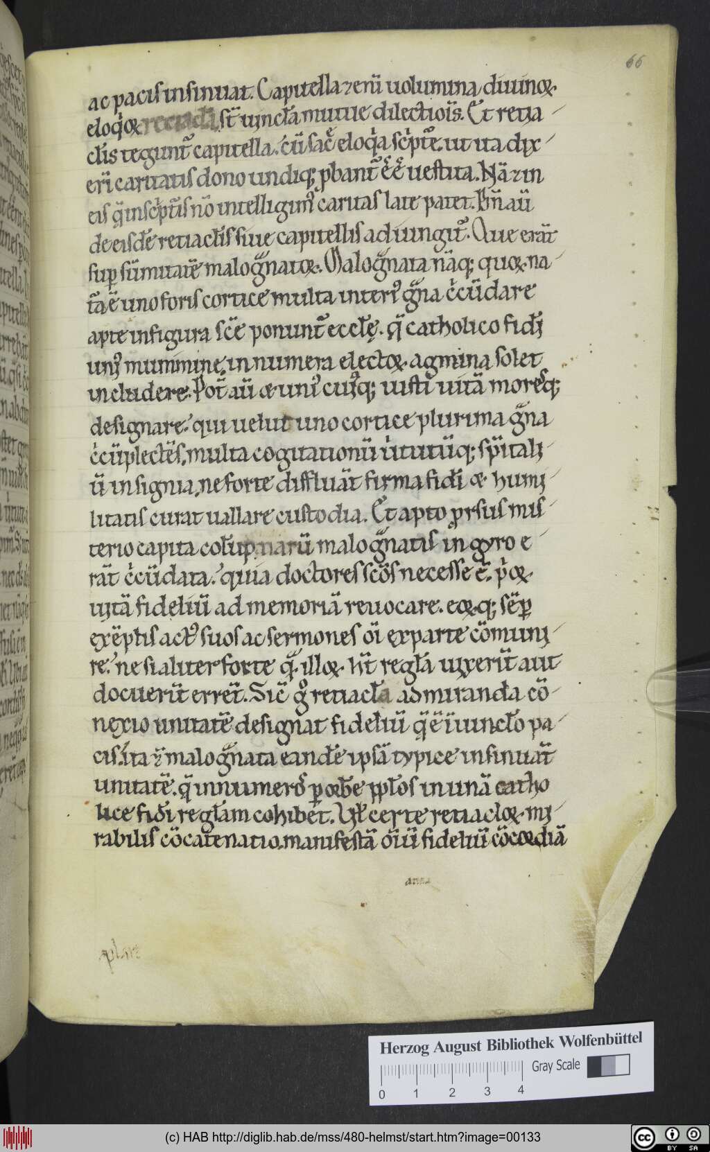 http://diglib.hab.de/mss/480-helmst/00133.jpg