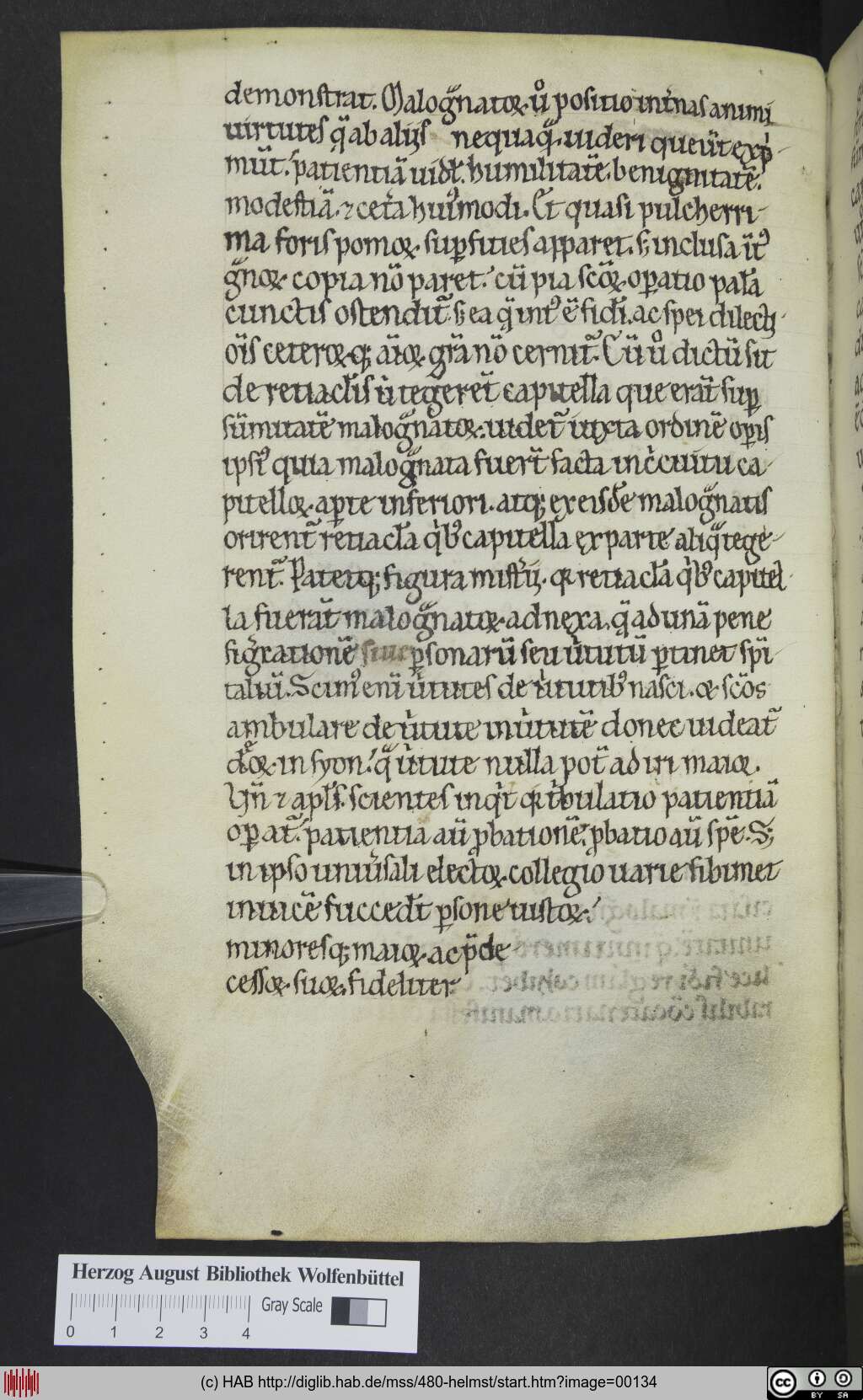 http://diglib.hab.de/mss/480-helmst/00134.jpg