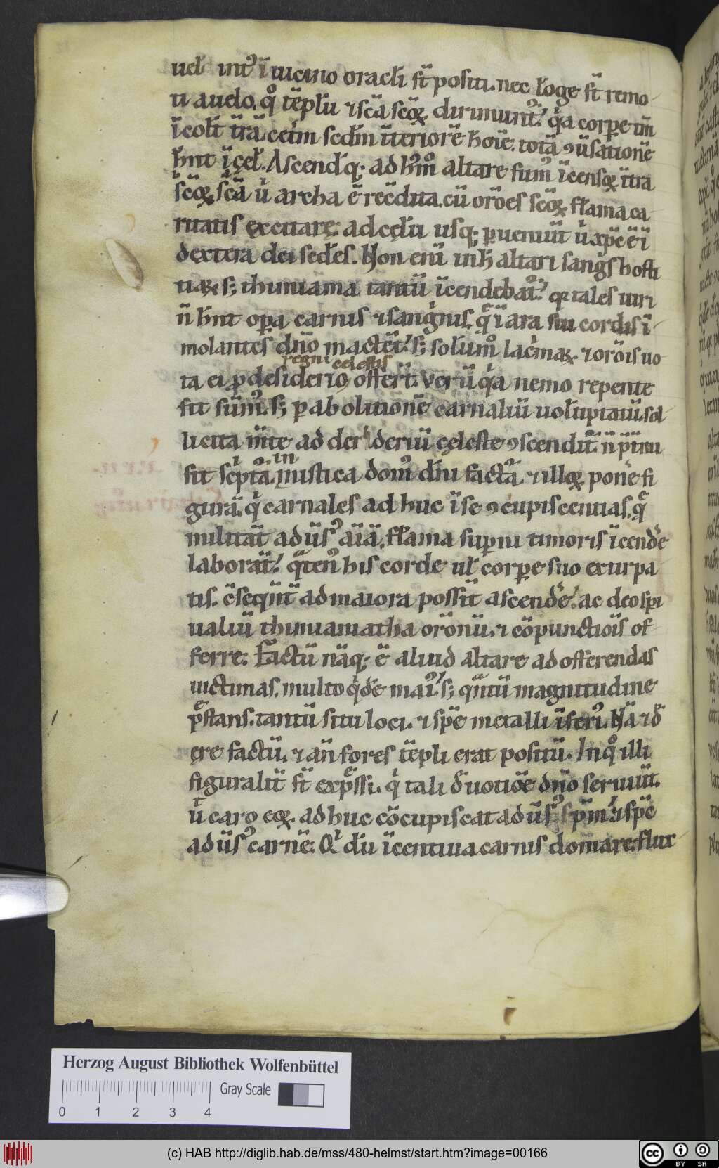http://diglib.hab.de/mss/480-helmst/00166.jpg