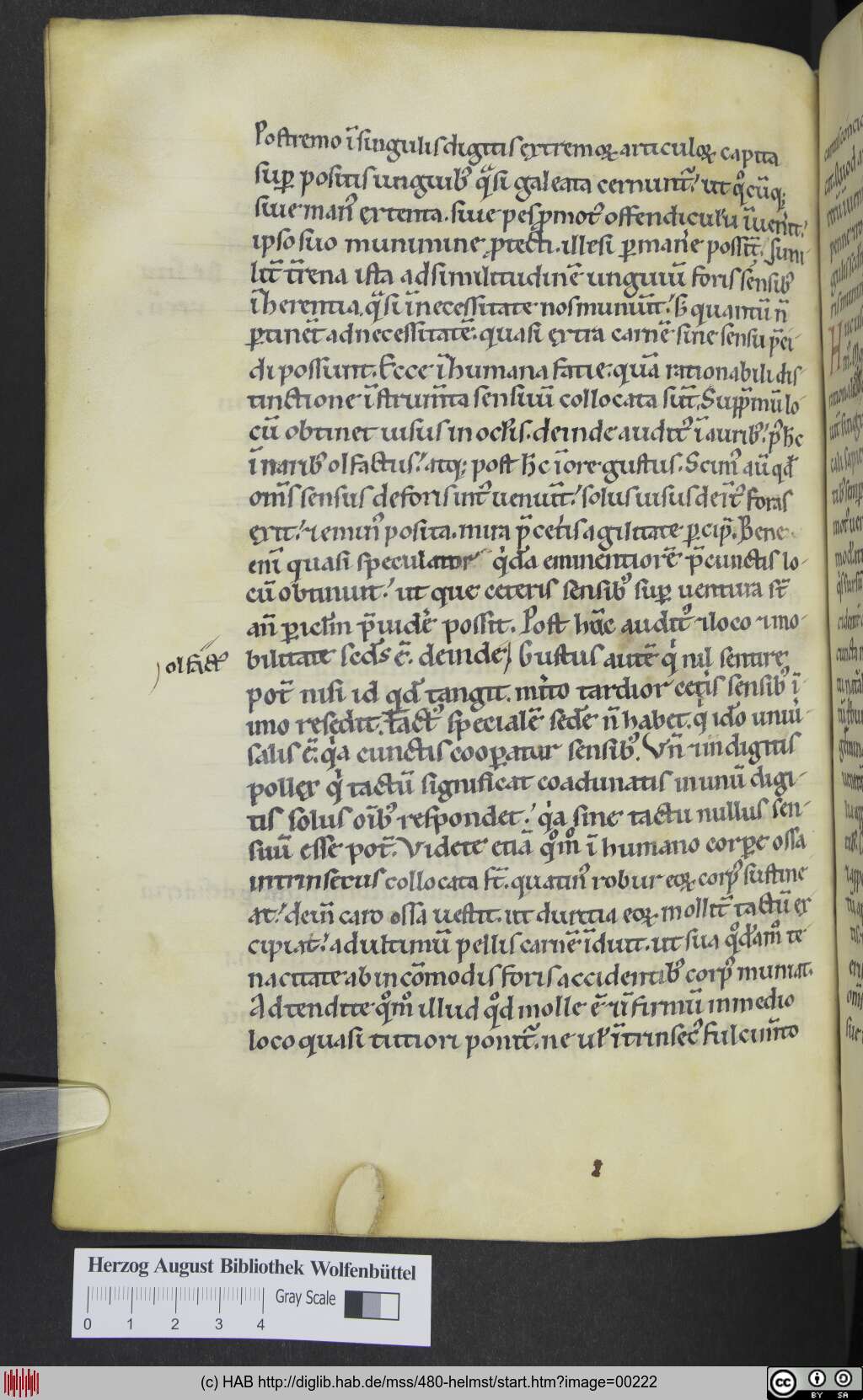 http://diglib.hab.de/mss/480-helmst/00222.jpg