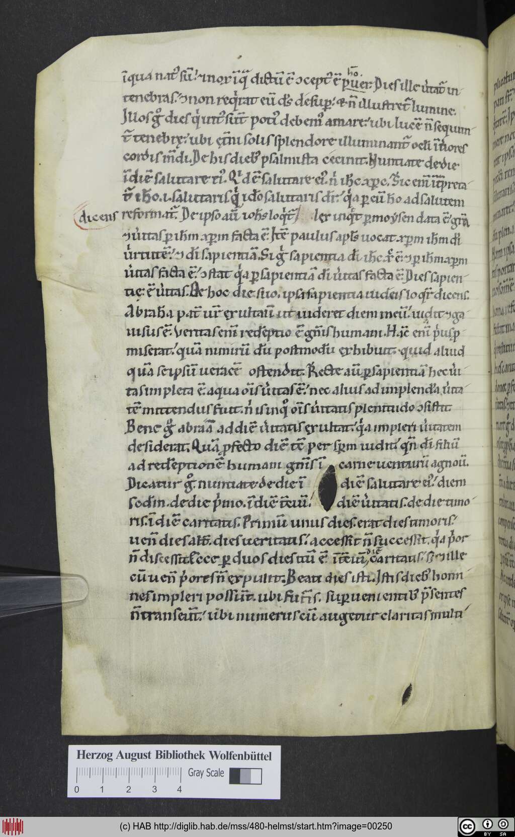 http://diglib.hab.de/mss/480-helmst/00250.jpg