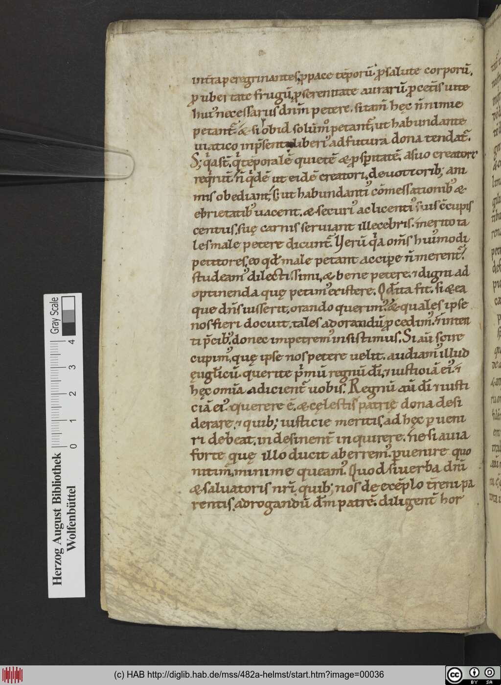 http://diglib.hab.de/mss/482a-helmst/00036.jpg