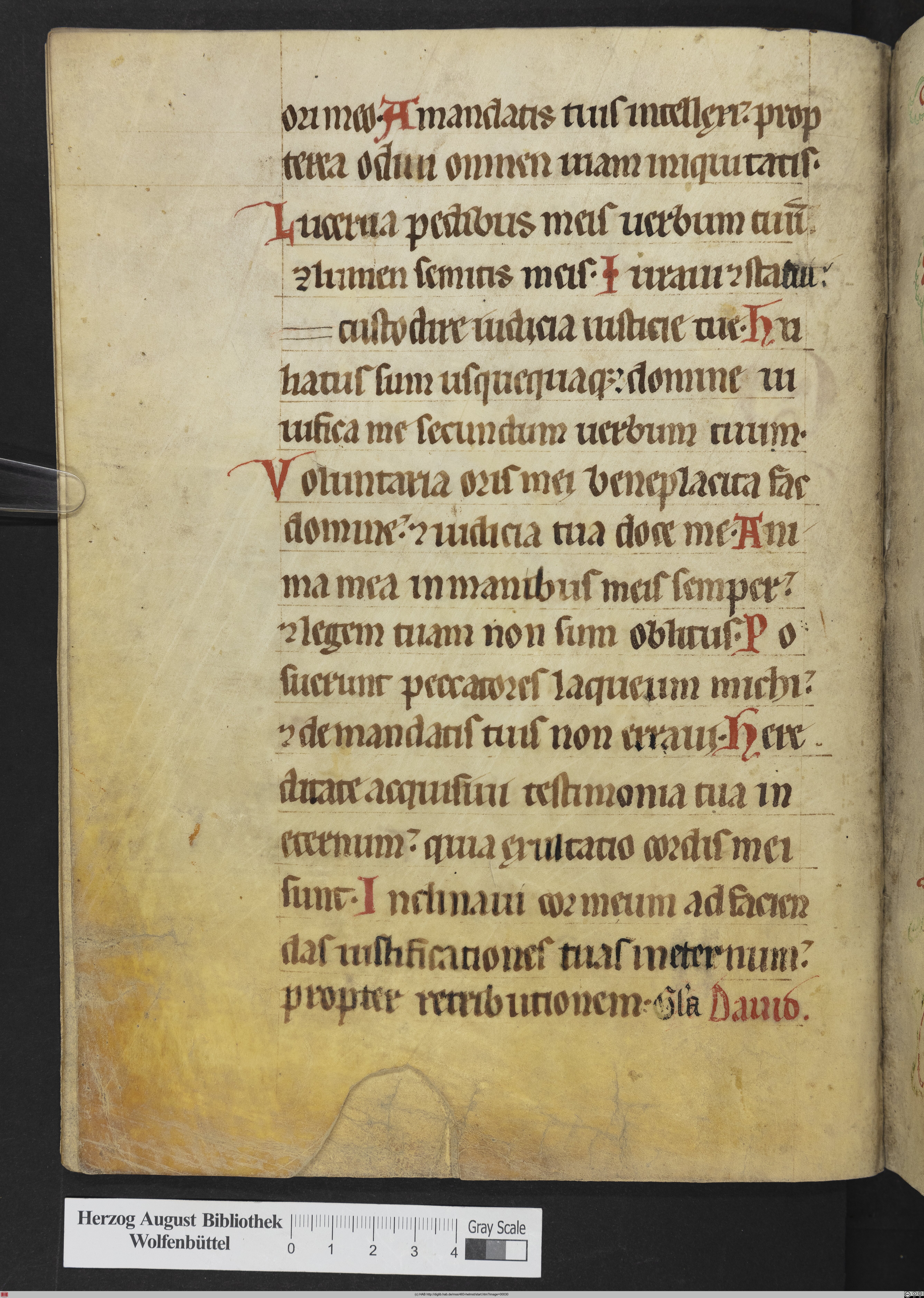http://diglib.hab.de/mss/483-helmst/max/00030.jpg
