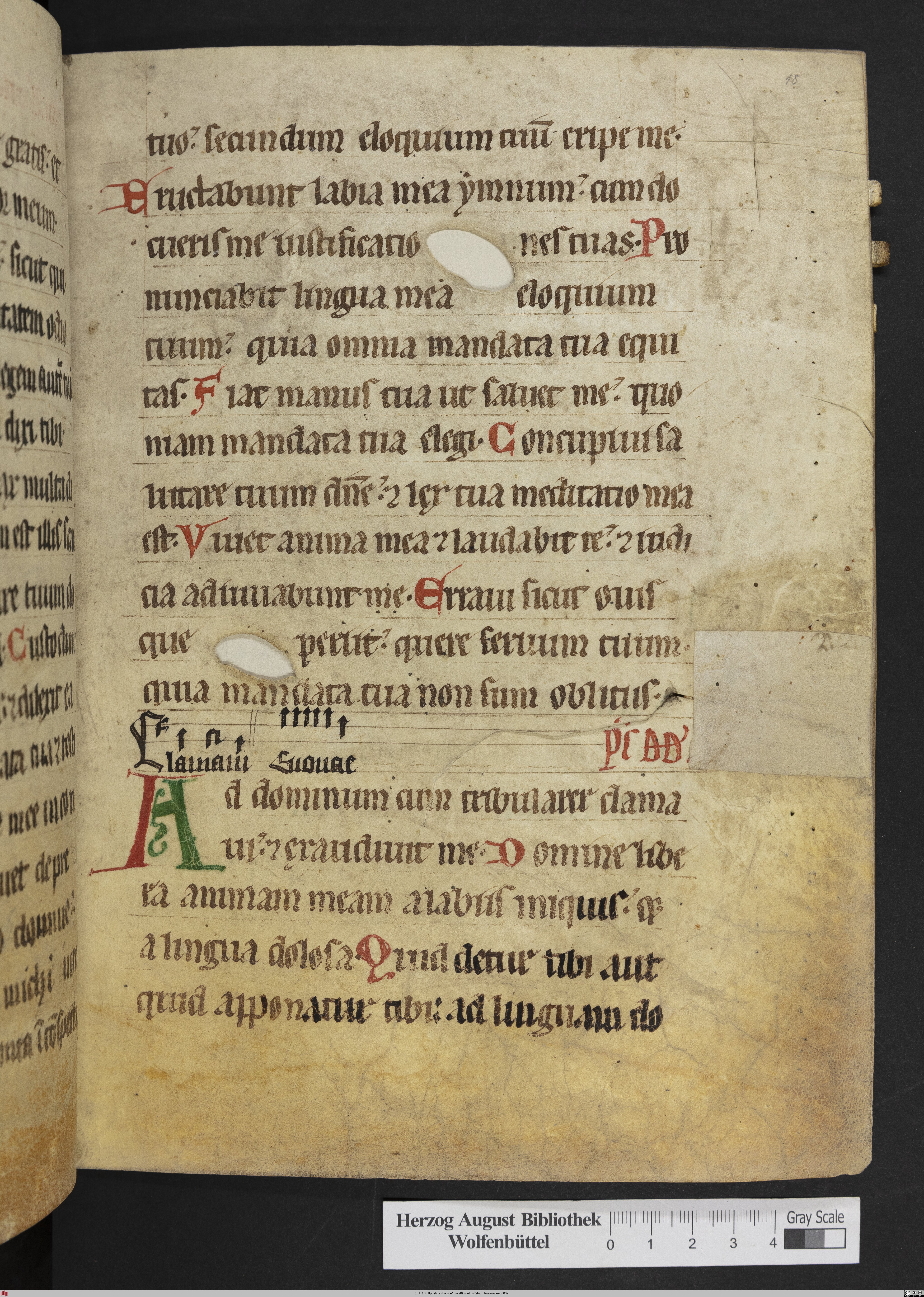 http://diglib.hab.de/mss/483-helmst/max/00037.jpg