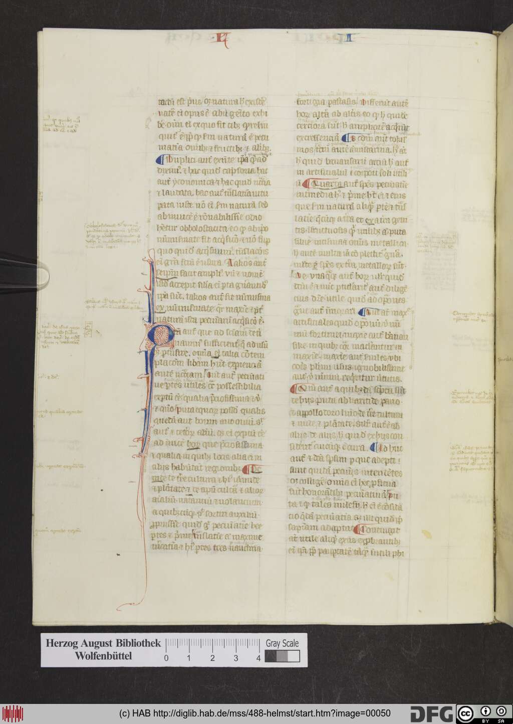 http://diglib.hab.de/mss/488-helmst/00050.jpg