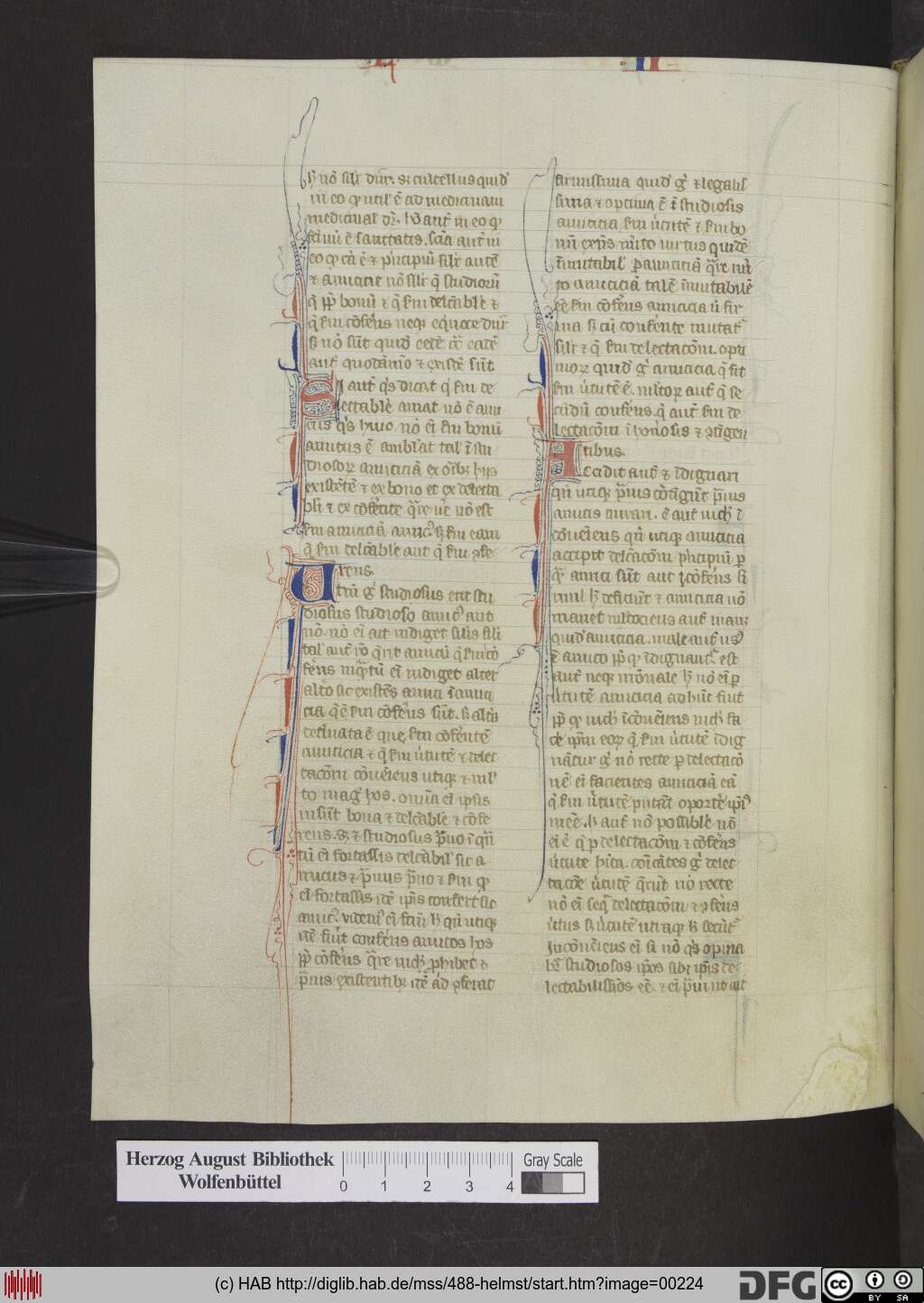 http://diglib.hab.de/mss/488-helmst/00224.jpg