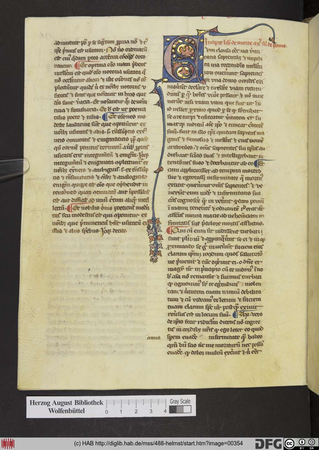 http://diglib.hab.de/mss/488-helmst/00354.jpg