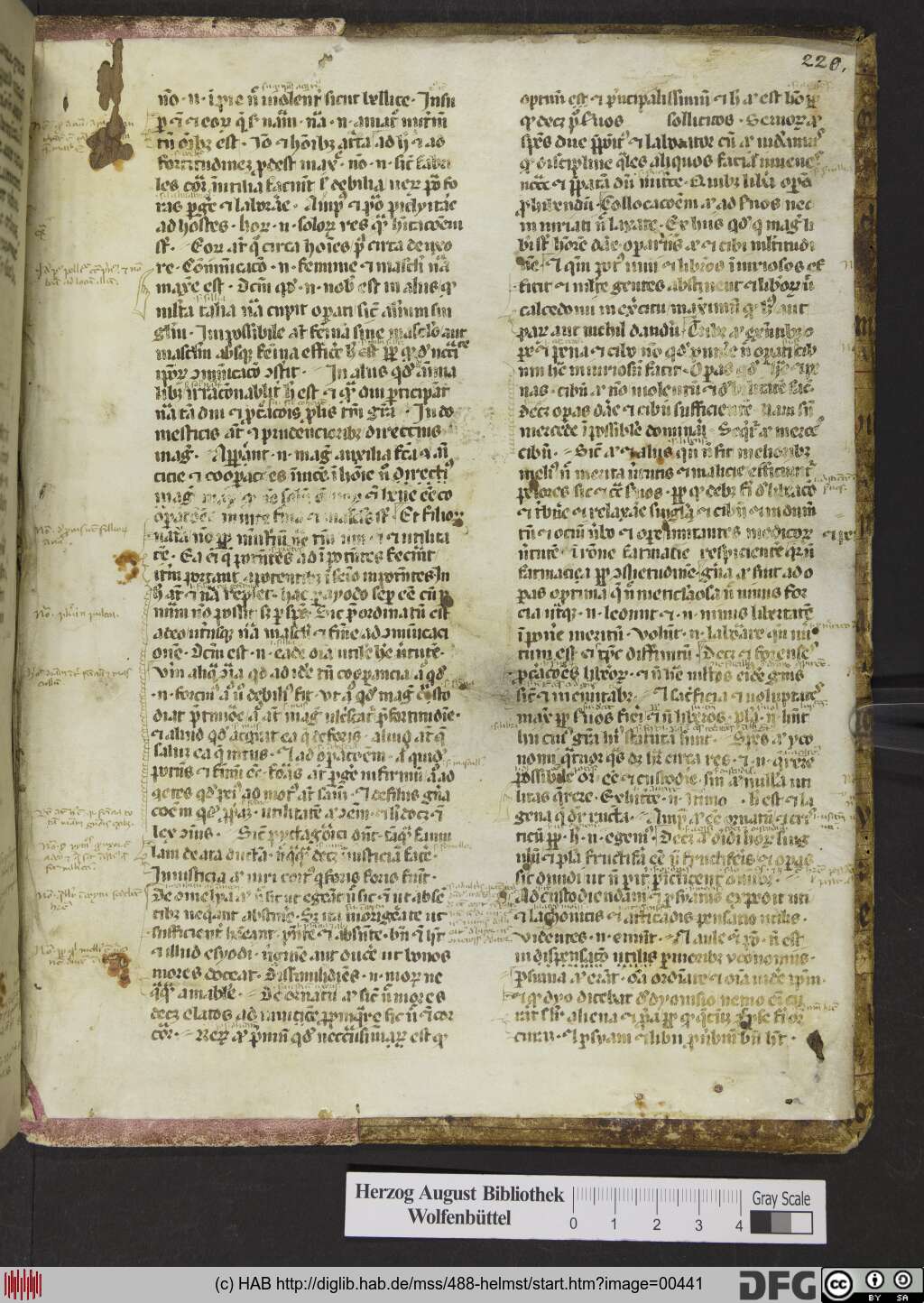 http://diglib.hab.de/mss/488-helmst/00441.jpg