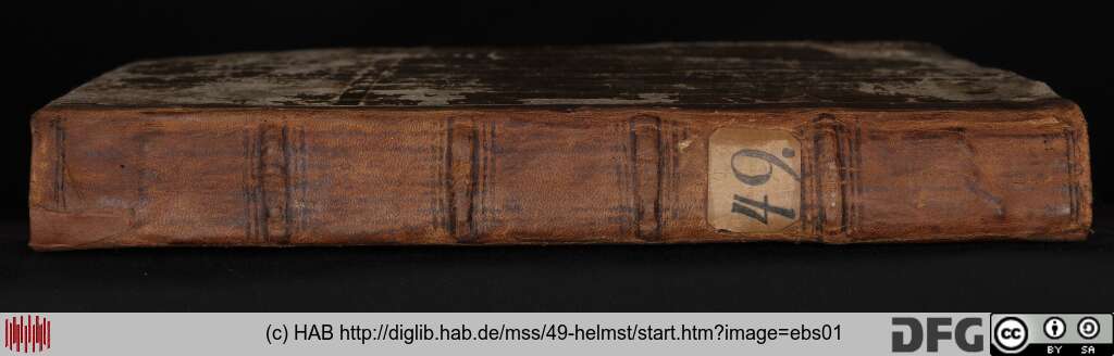 http://diglib.hab.de/mss/49-helmst/ebs01.jpg