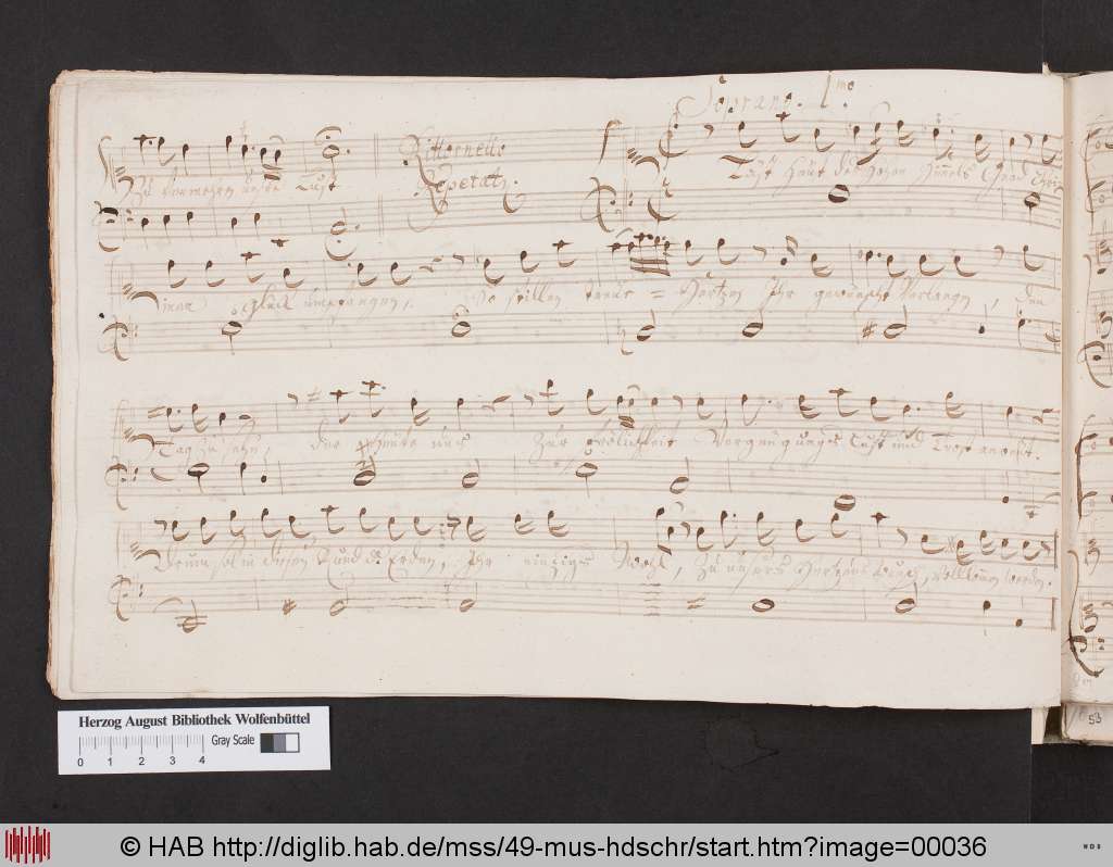 http://diglib.hab.de/mss/49-mus-hdschr/00036.jpg
