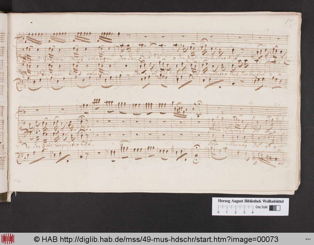 http://diglib.hab.de/mss/49-mus-hdschr/00073.jpg