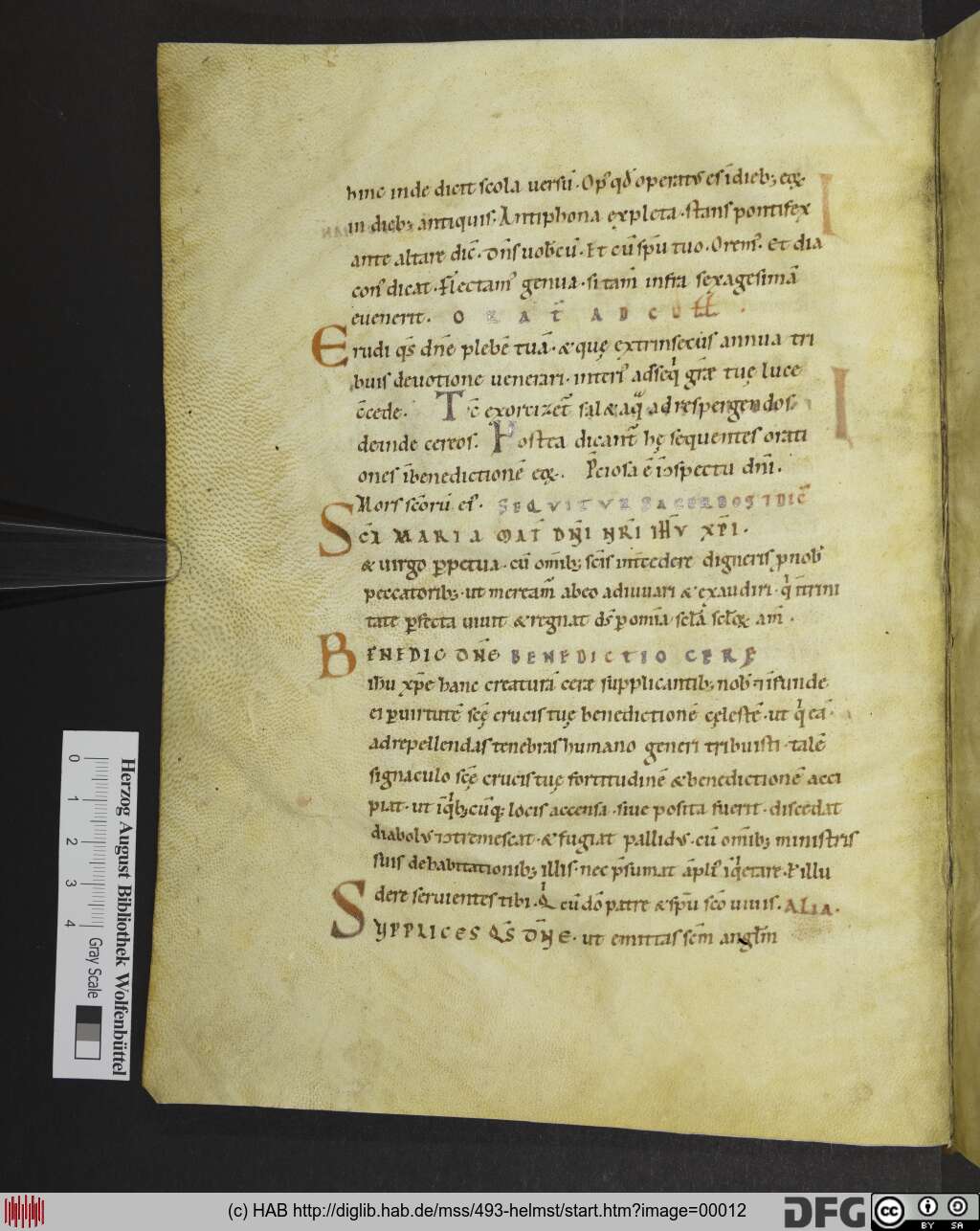 http://diglib.hab.de/mss/493-helmst/00012.jpg