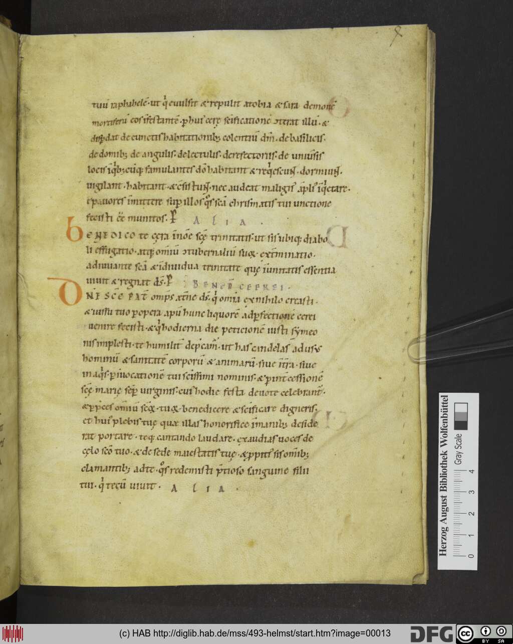 http://diglib.hab.de/mss/493-helmst/00013.jpg
