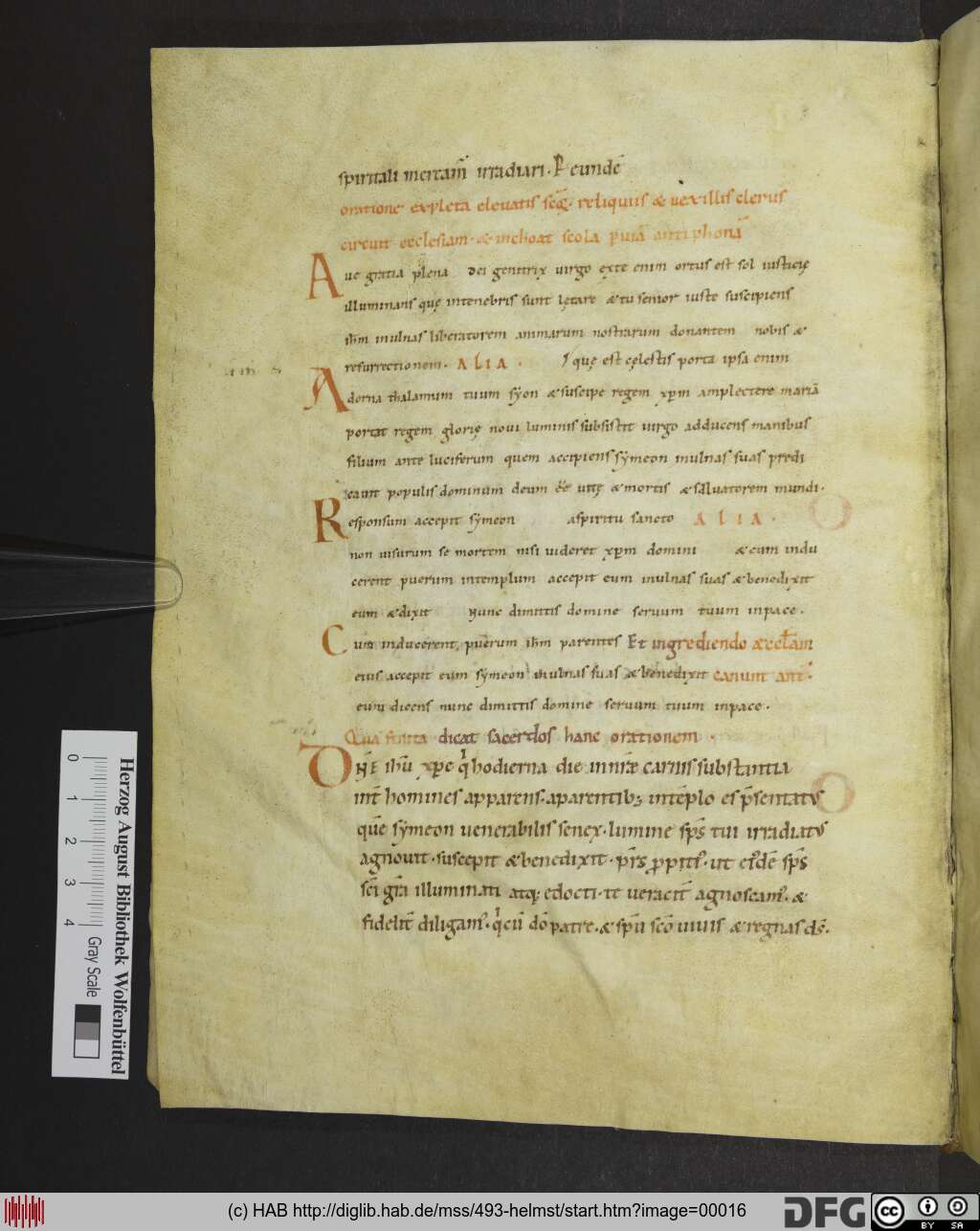http://diglib.hab.de/mss/493-helmst/00016.jpg