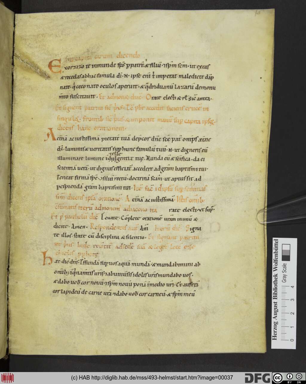 http://diglib.hab.de/mss/493-helmst/00037.jpg