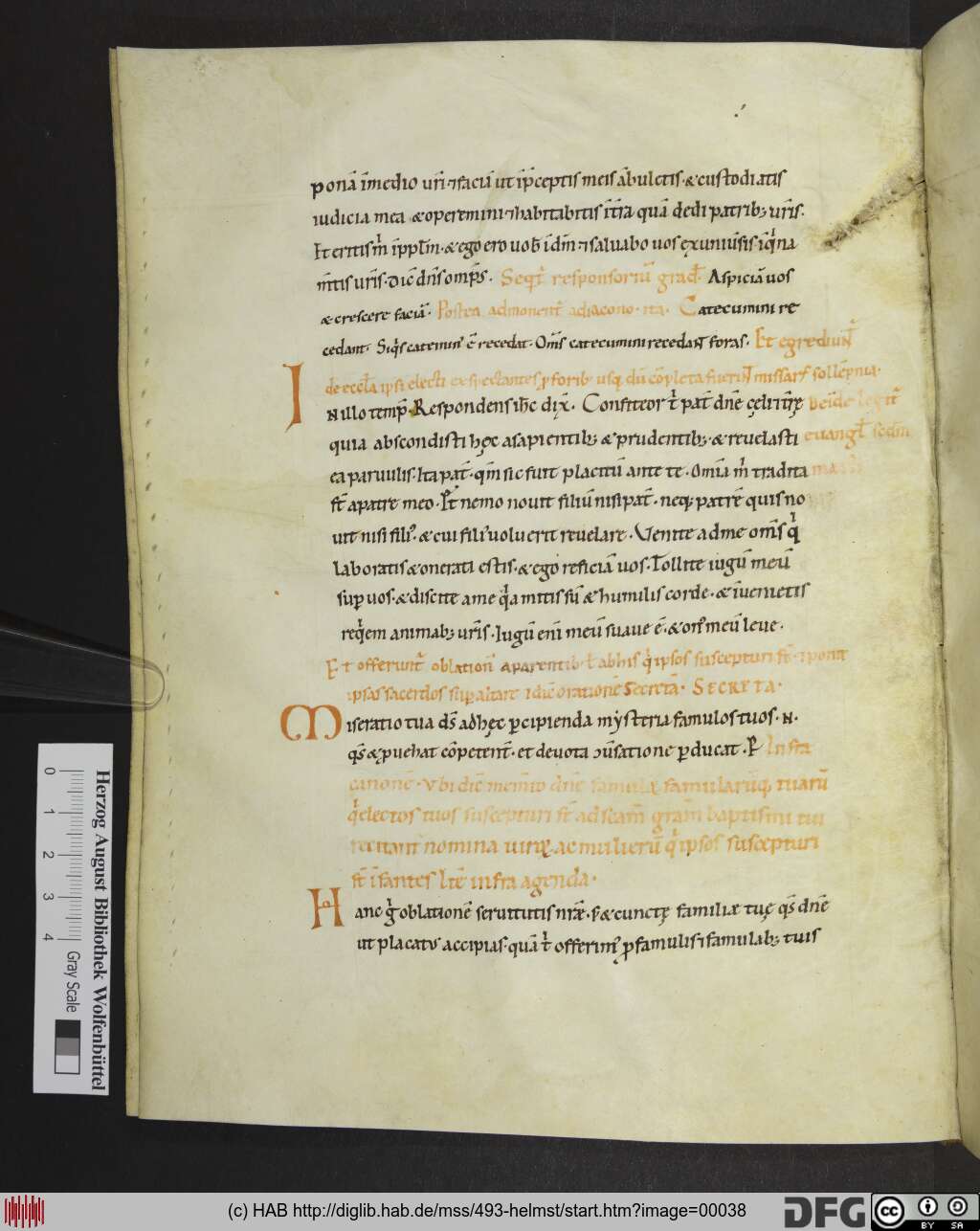 http://diglib.hab.de/mss/493-helmst/00038.jpg