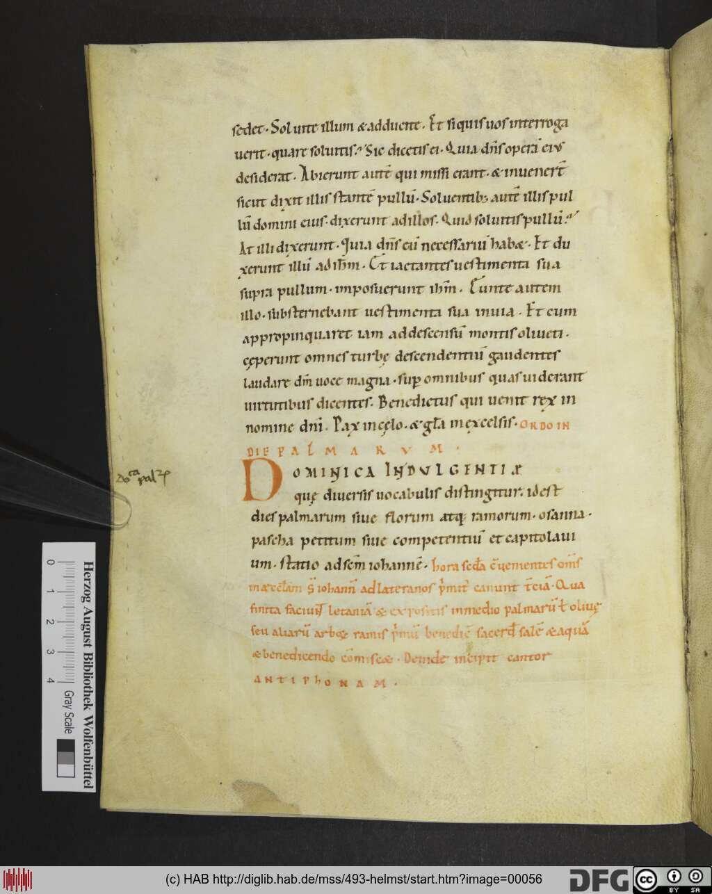 http://diglib.hab.de/mss/493-helmst/00056.jpg