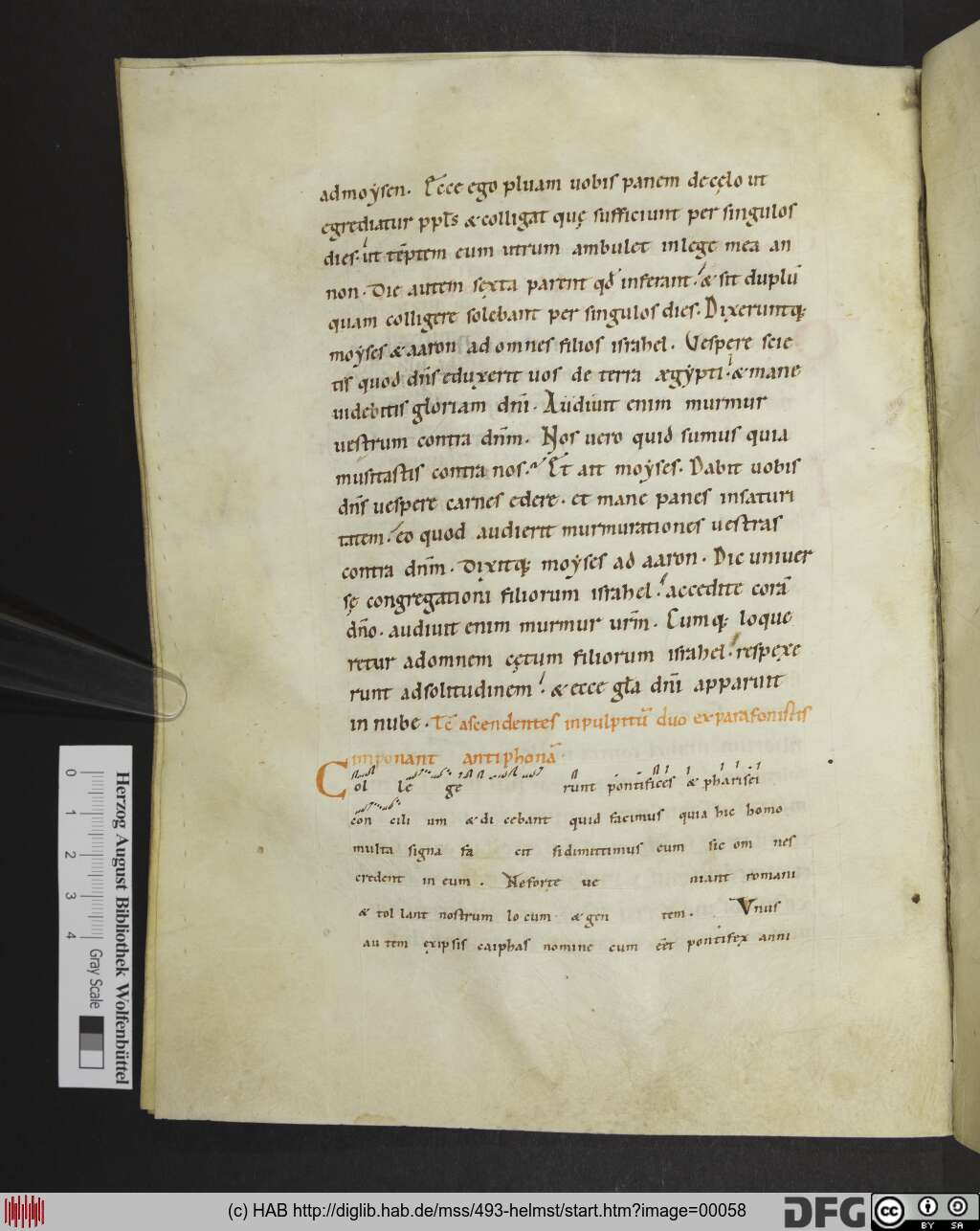 http://diglib.hab.de/mss/493-helmst/00058.jpg