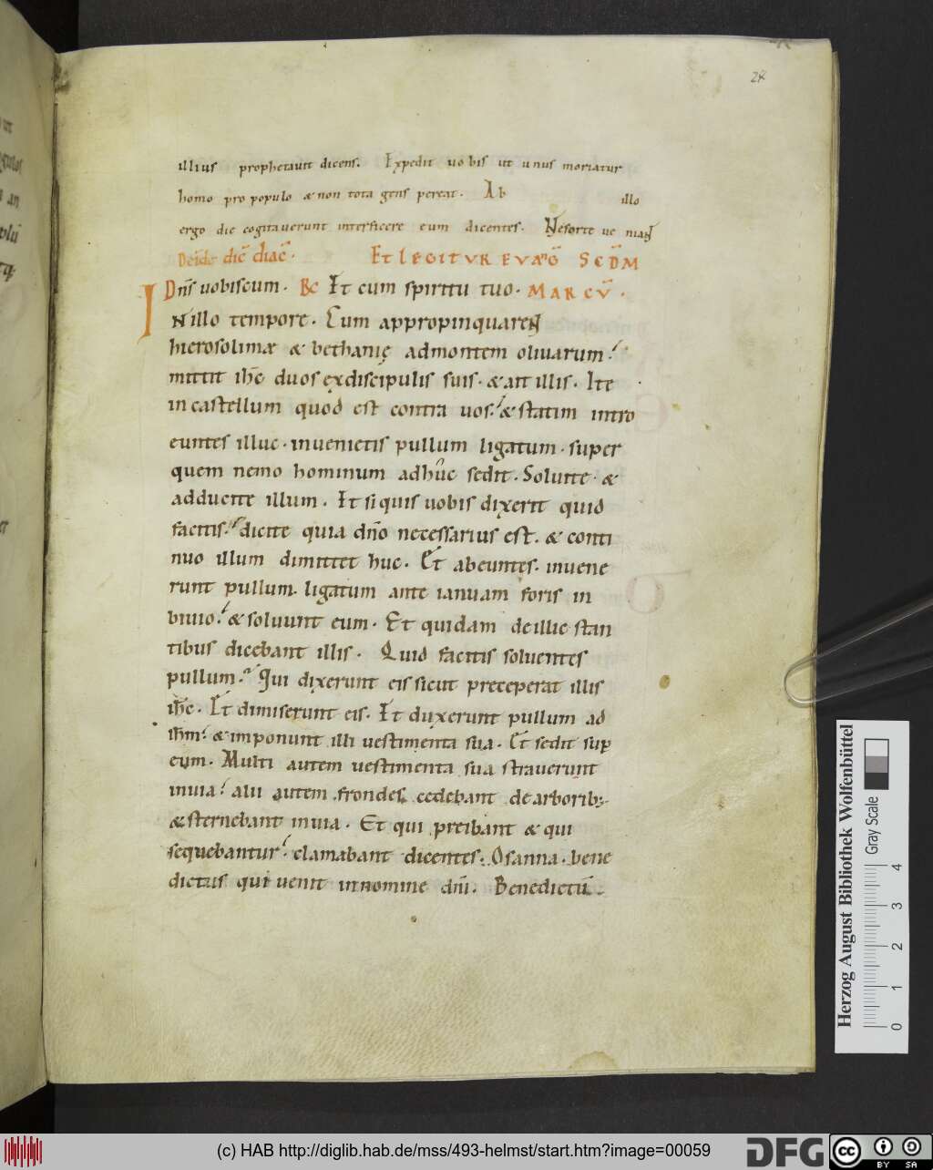 http://diglib.hab.de/mss/493-helmst/00059.jpg