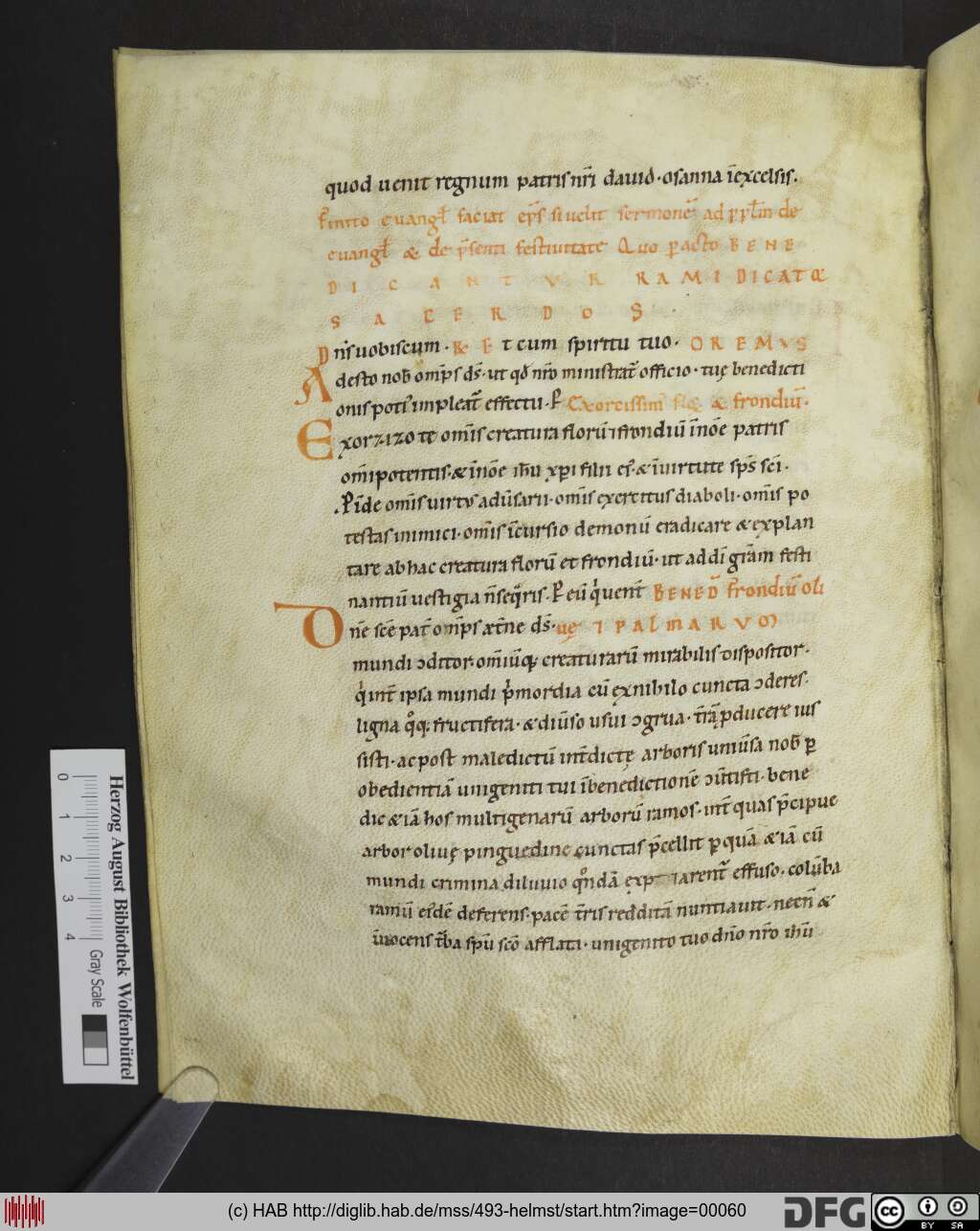 http://diglib.hab.de/mss/493-helmst/00060.jpg