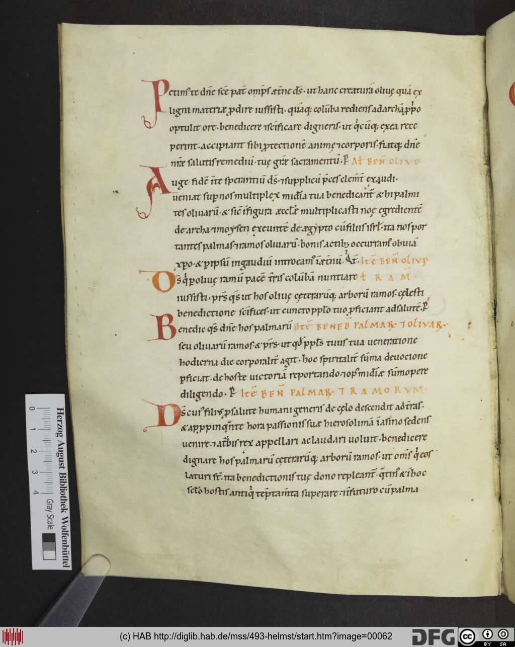 http://diglib.hab.de/mss/493-helmst/00062.jpg