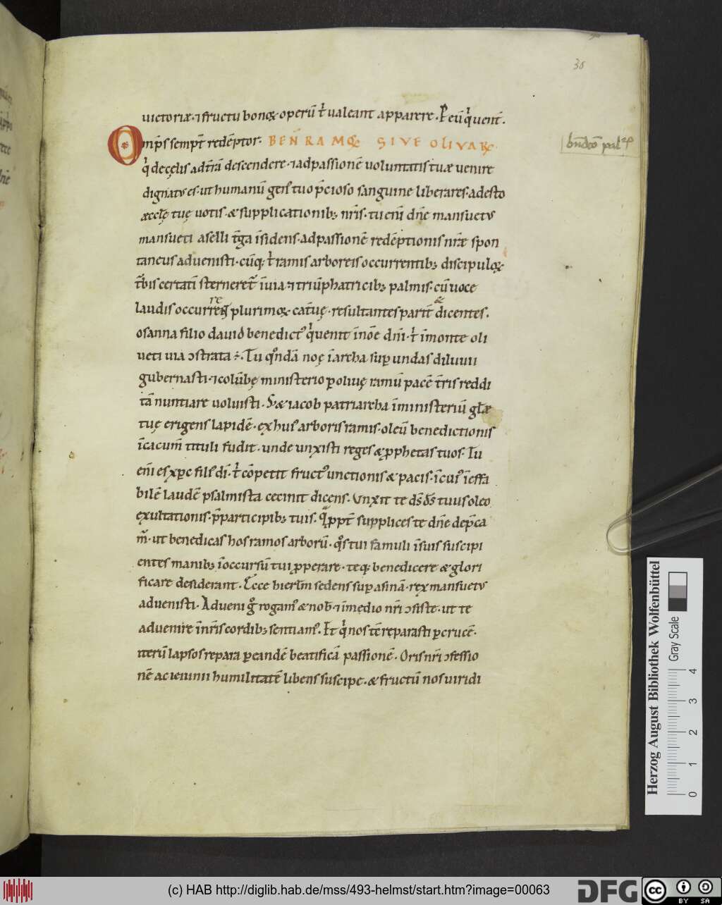 http://diglib.hab.de/mss/493-helmst/00063.jpg