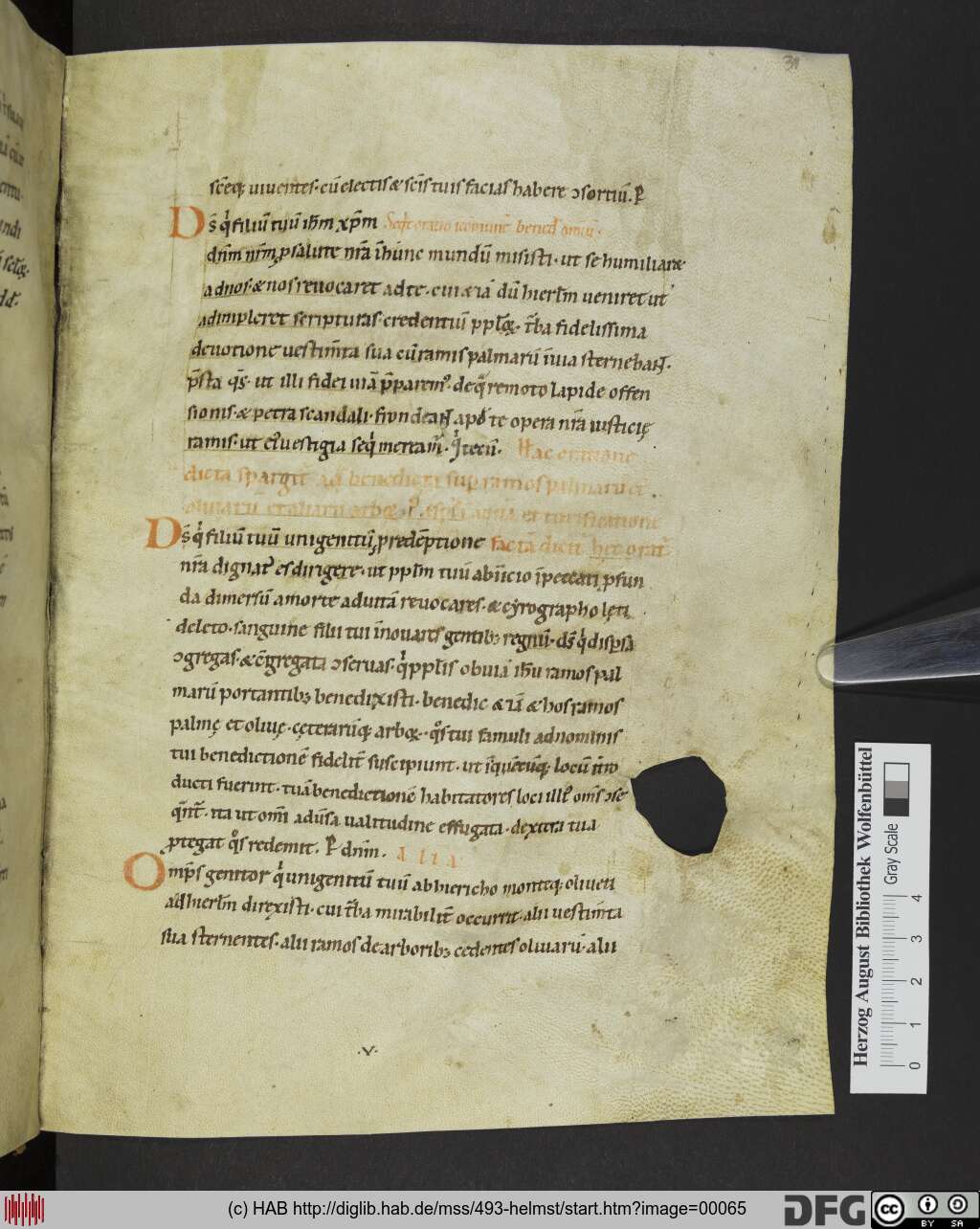 http://diglib.hab.de/mss/493-helmst/00065.jpg