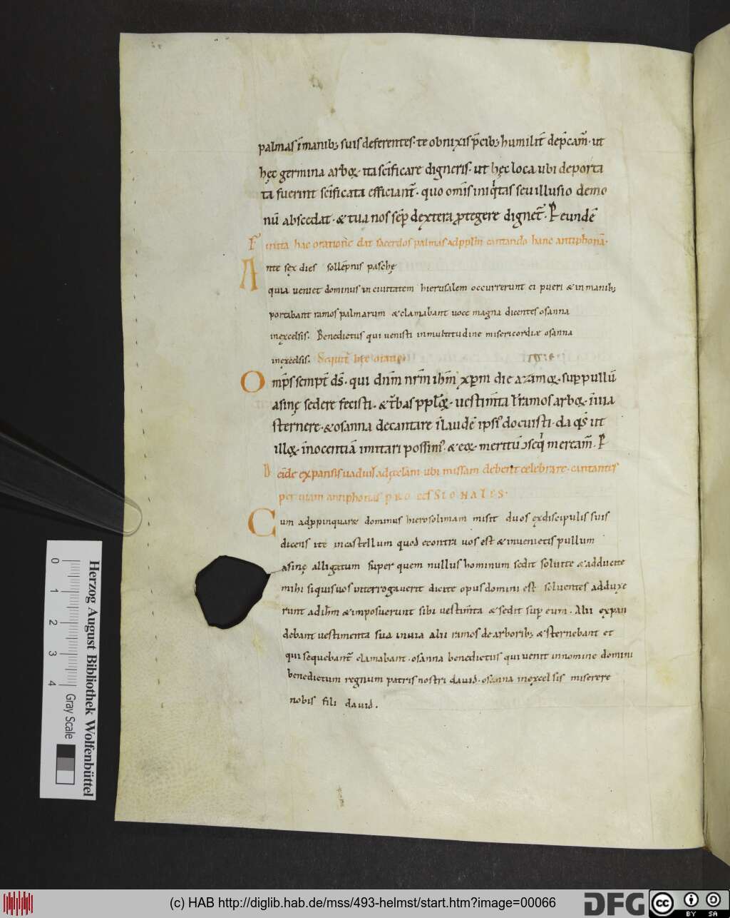 http://diglib.hab.de/mss/493-helmst/00066.jpg