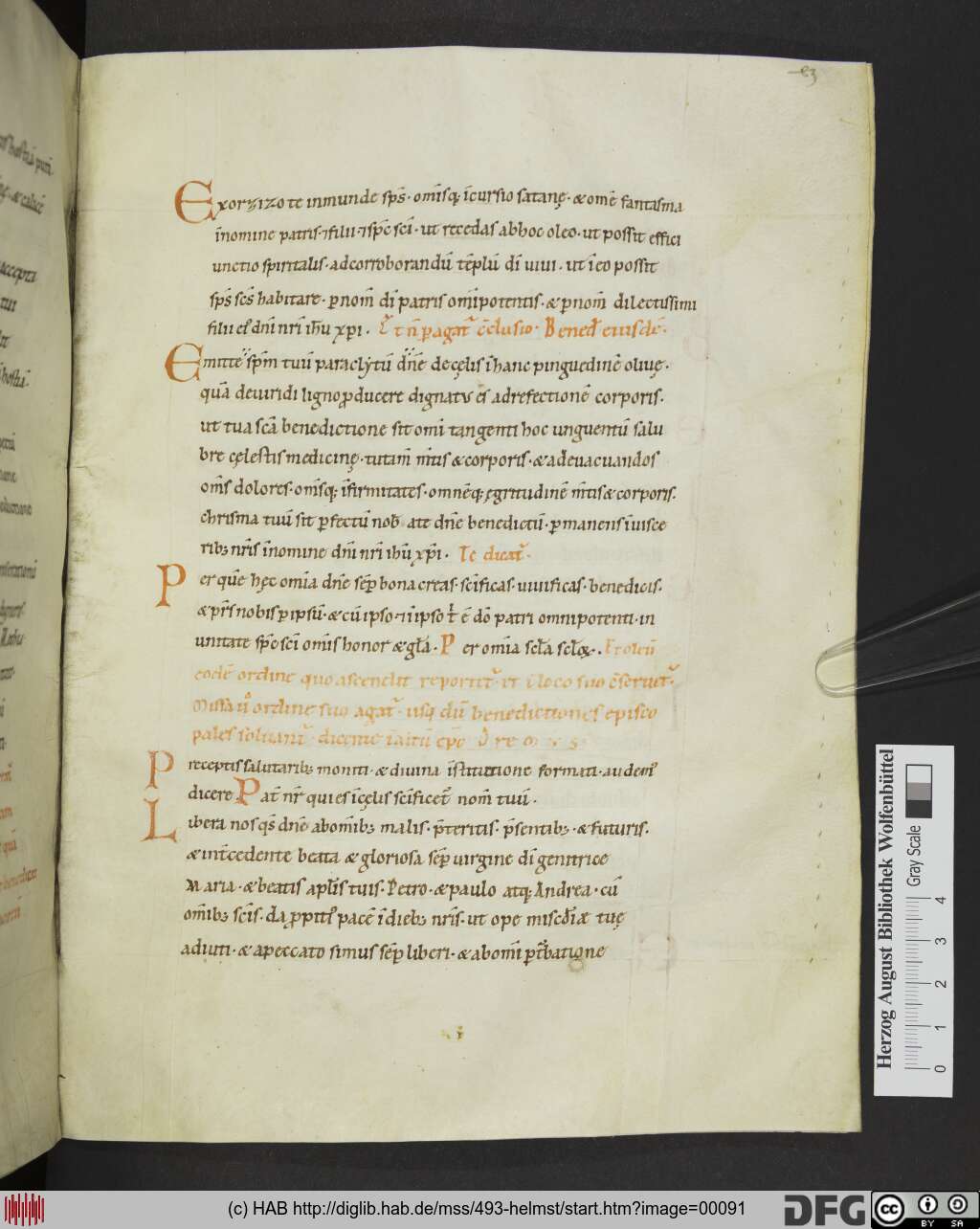 http://diglib.hab.de/mss/493-helmst/00091.jpg