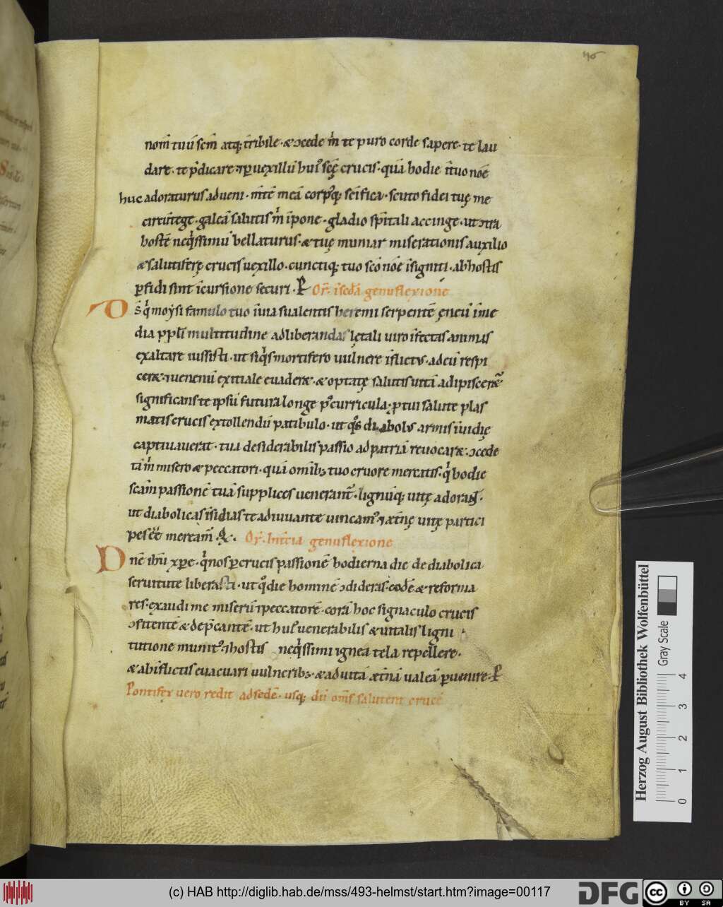 http://diglib.hab.de/mss/493-helmst/00117.jpg
