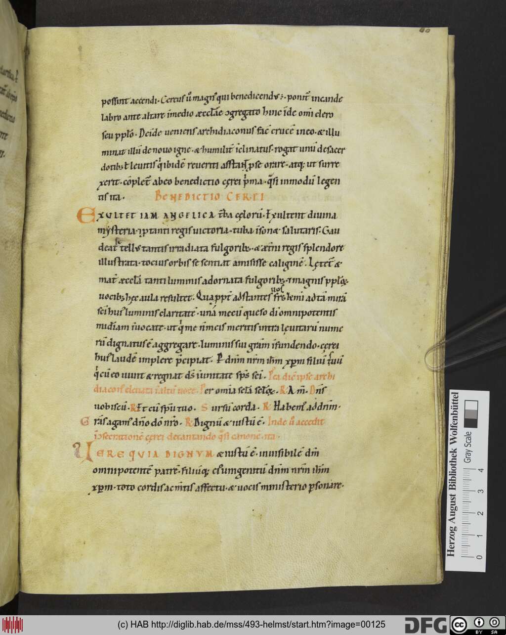 http://diglib.hab.de/mss/493-helmst/00125.jpg