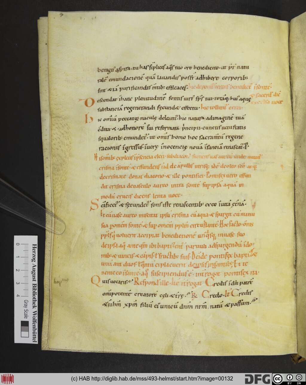 http://diglib.hab.de/mss/493-helmst/00132.jpg
